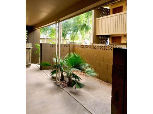 The Arbors at 5th Tempe Interior and Setup Ideas