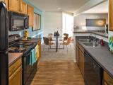 The Glenn Orlando Interior and Setup Ideas