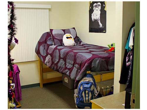 Holly Apartments Pictures View Livesomewhere Holly Apartments Tampa Interior And Setup Ideas
