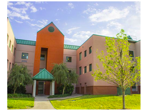 Holly Apartments Tampa Exterior and Clubhouse