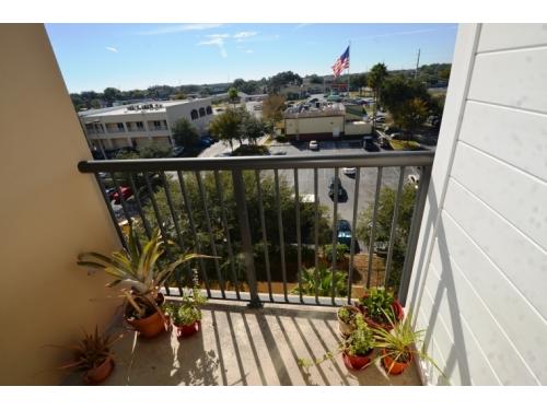 Malibu Apartments Tampa Exterior and Clubhouse