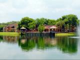 Oak Ramble Apartment Homes Tampa Exterior and Clubhouse