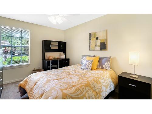 Reflections Apartments Tampa Interior and Setup Ideas