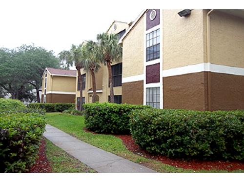 Hidden Palms Apartment Homes Tampa Exterior and Clubhouse