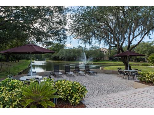 The Park at Stonebrook Tampa Exterior and Clubhouse