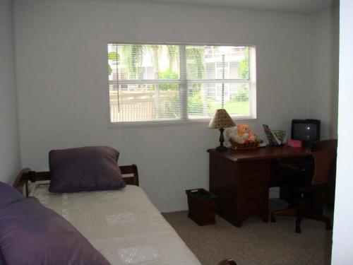 Interior and Setup Ideas
