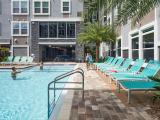 Lark on 42nd Tampa Exterior and Clubhouse