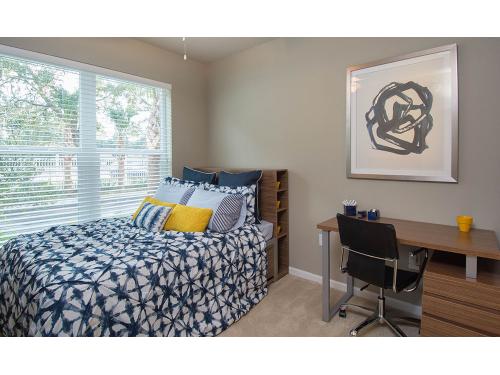 IQ Apartments Tampa Interior and Setup Ideas