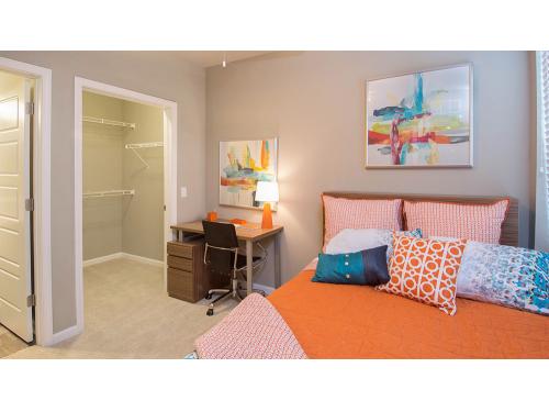 IQ Apartments Tampa Interior and Setup Ideas