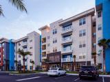 IQ Apartments Tampa Exterior and Clubhouse