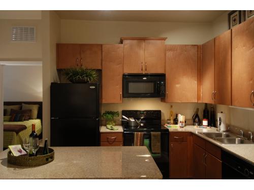Wildflower Apartments Gainesville Interior and Setup Ideas