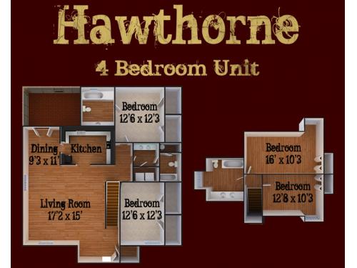 Hawthorne Statesboro Floor Plan Layout
