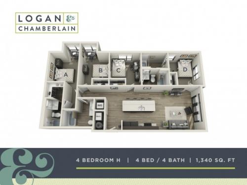 Logan and Chamberlain Raleigh Floor Plan Layout